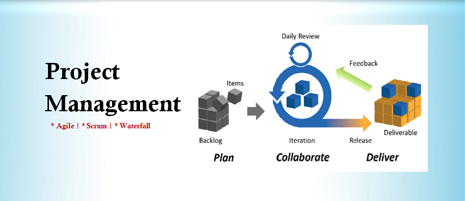 projectmanagement_solutions.png